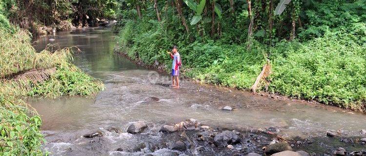 Wisata Pemancingan Dan Aneka Kebun Murah  1