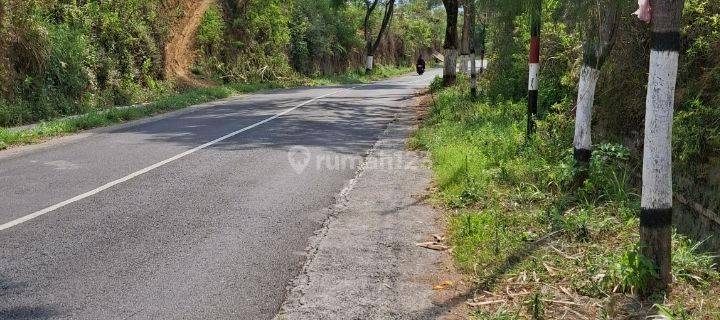 Tanah Kebun Cocok Untuk Cafe Atau Villa Gubug Klakah Bromo 1