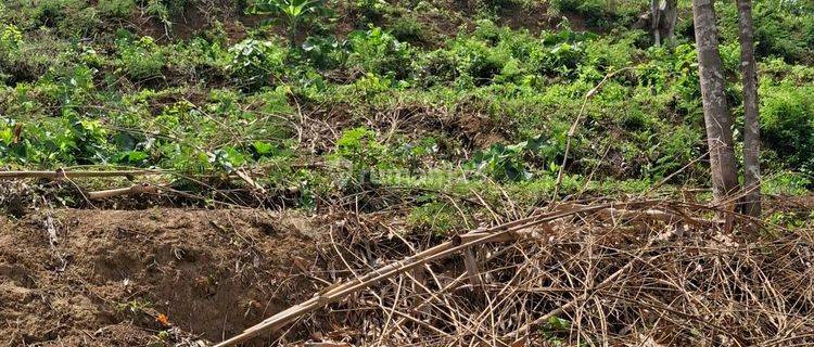 Tanah Kebun Murah Dekat Pasar Tajinan Malang  1