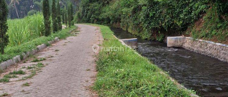 Kebun Plus Kolam Pemancingan Dekat Wisata Sumber Jenon Malang  1