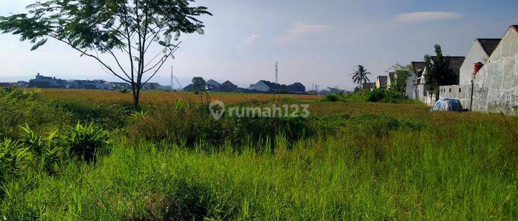 Tanah Murah Dekat Dengan Kampus Unikama Kota Malang 1