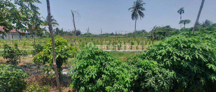 Dijual Tanah Keras Cocok Bangun Rumah Cluster Dekat Kampus Uir 1