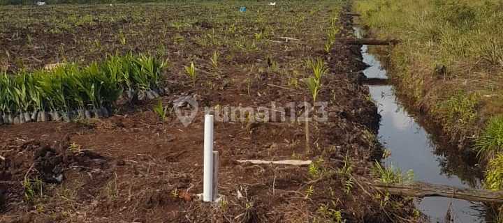 Dijual Tanah Dekat Rimbo Panjang 1