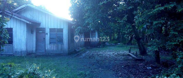 Dijual Cepat Tanah Dekat Kubang Raya Lokasi Strategis Tepi Jalan Besar 1