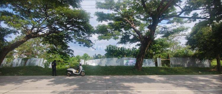 Disewakan Tanah Kavling di Metro Tanjung Bunga 1