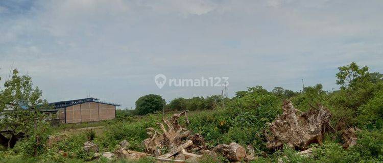 Dijual Tanah di Kima 19 1