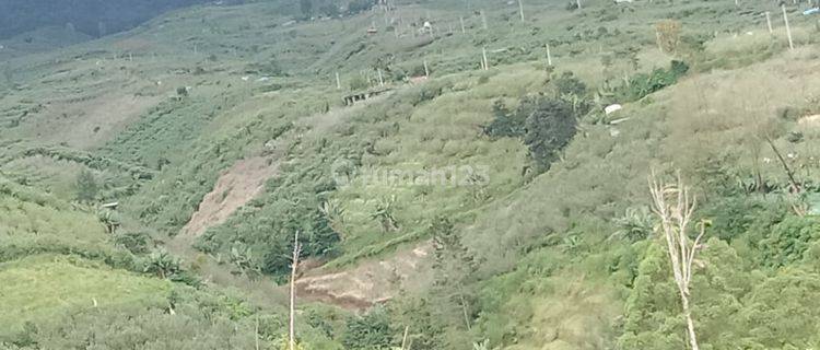 Tanah murah bagus luas berupa kebun apel aktif produktif 1