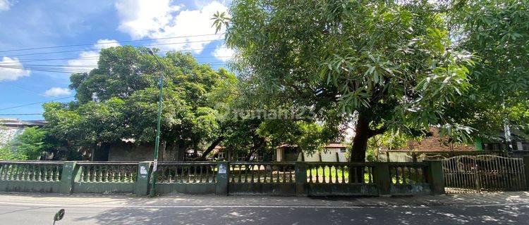 Tanah Luas Dan Rumah Harga Istimewa Di Mataram Ntb.  1