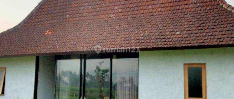 Disewakan Vila Lengkap Furnished Harga Istimewa Di Gianyar Bali. 1