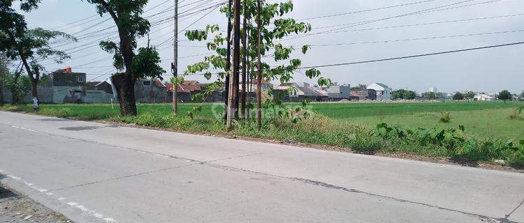 Tanah Strategis Dekat Pintu Tol di Klodran Solo 1