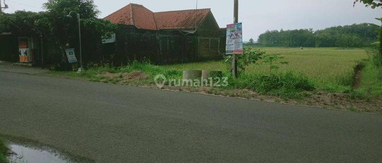 Dijual Tanah Sudah Zona Kuning, Lokasi Dekat Bandara Adi Sumarmo 1