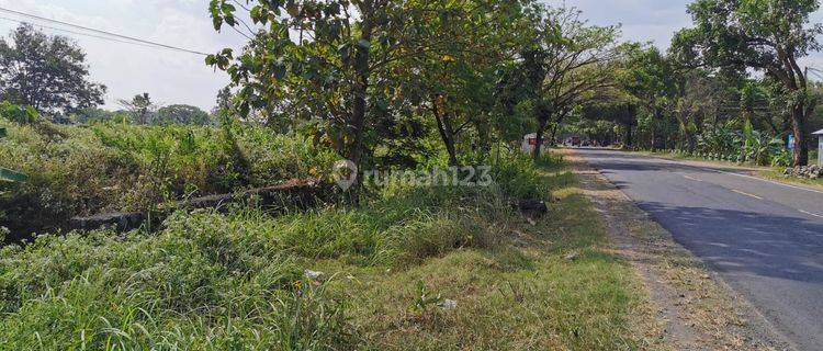 Dijual Tanah Kering 
Sudah Hurug
Kondisi Siap Pakai
Dekat Pintu Tol Ngawi, Jawa Timur 1