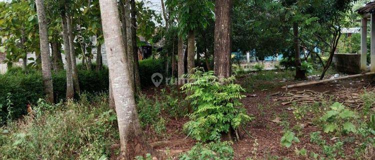 Tanah Siap Bangun selangkah ke jalan utama Karanganyar 1