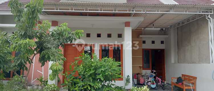 Rumah Bagus Siap Pakai Lokasi Perumahan Cluster Di Gentan Solo 1