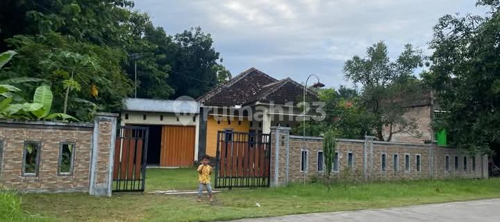 Nice House Bonus Large Yard In Sumber Lawang Sragen 1