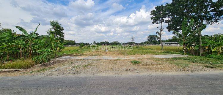 Tanah kering siap bangun di Solo baru 1