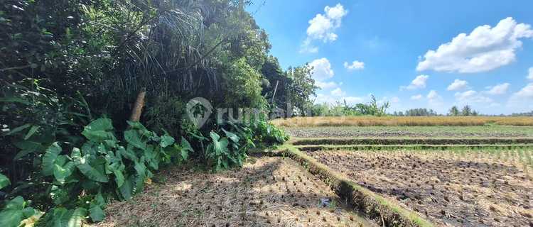 Land For Lease Hold In Buwit Area Udb 782 1