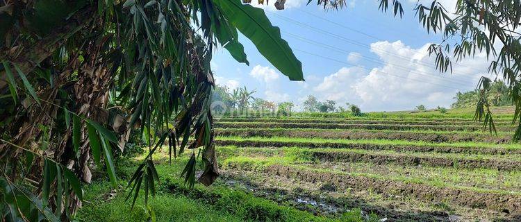 Land For Lease In Buwit, Near Nyanyi Area Udb 807 1