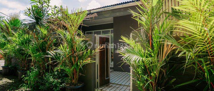 Rumah Kontrakan Bagus Furnished Sibang Gede, Badung IP 618  1