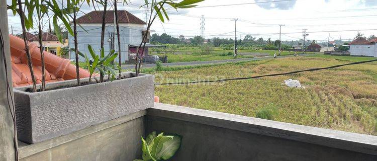 Comfortable house surrounded by rice fields 1