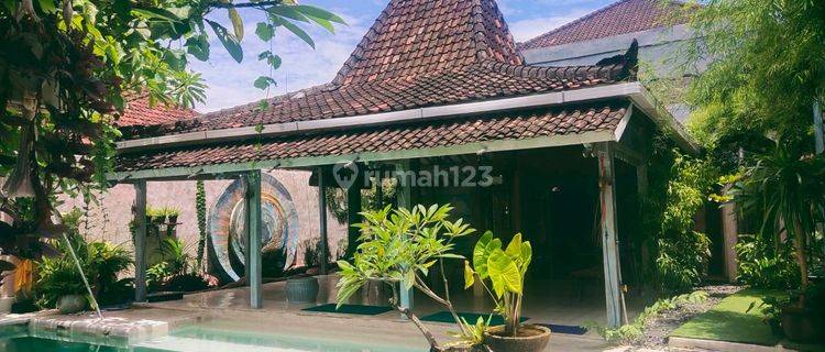 Leasehold - Commercial space in a strategic and busy area , Canggu 1