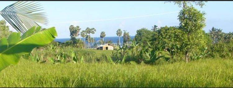 Leasehold - 2.600 sqm of beautiful land just minutes&#39;&#39; walk to the Flamingo beach club and a surfing beach 1