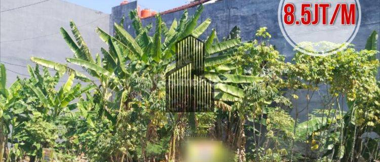 Tanah DEKAT KAMPUS DAN RUSUNAWA UNDIP di BULUSAN UTARA TEMBALANG 1