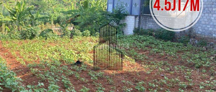 Tanah MURAH DEKAT UNDIP di BULUSAN SELATAN TEMBALANG 1