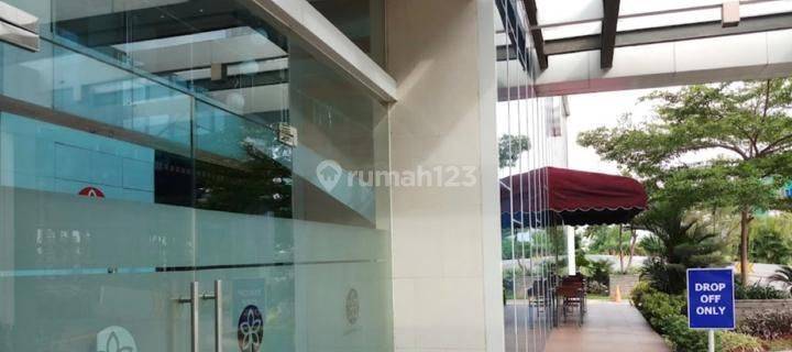 Dijual Cepat Murah Jarang Ada Apartement Lux 1