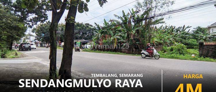 TANAH KAVLING 670m2 pinggir Jalan Raya Sendangmulyo Tembalang 1