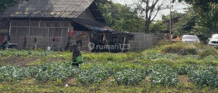 kavling cocok untuk industri Di selembaran dadap 1