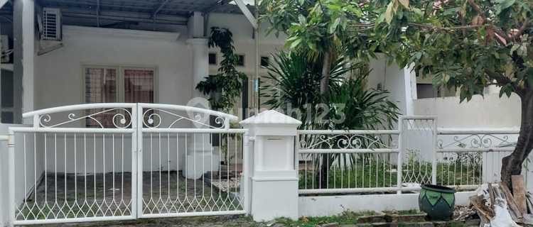 For Rent Ready-to-Occupy House with SHM @ South Wonorejo, Rungkut 1