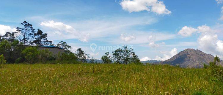 Tanah View Gunung Batur Dekat El Lago Kintamani 1