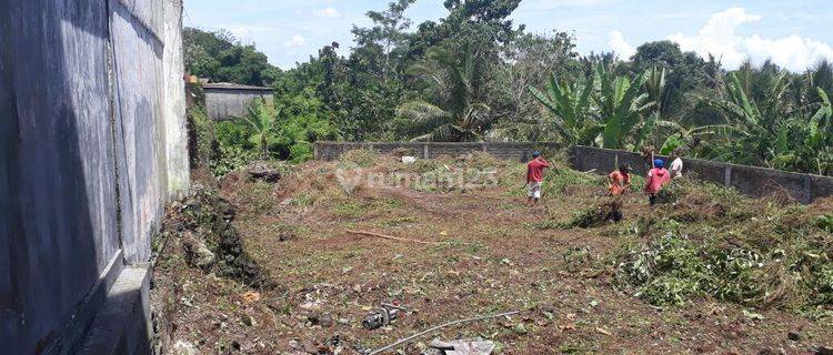 Tanah Siap Bangun Di Dekat Bypass Tabanan 1