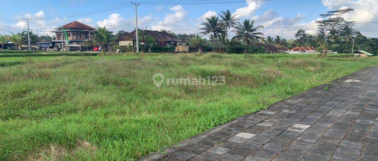 Tanah Lingkungan Villa View Sawah Di Dekat Sentral Ubud 1