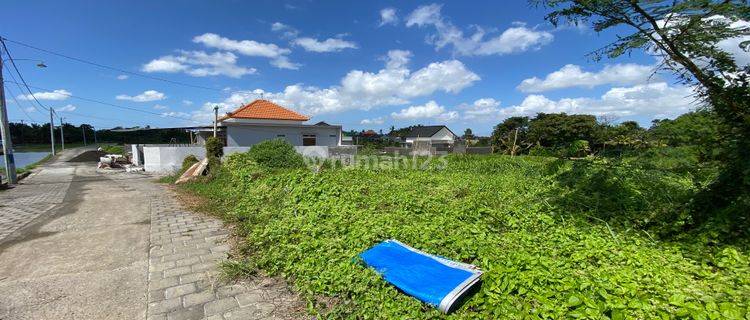 Cheap plots of land near the cities of Tabanan and Denpasar 1