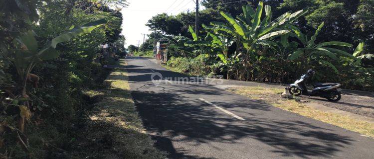 Land Ready to Build Tourism Area Near Aling-aling Waterfall 1