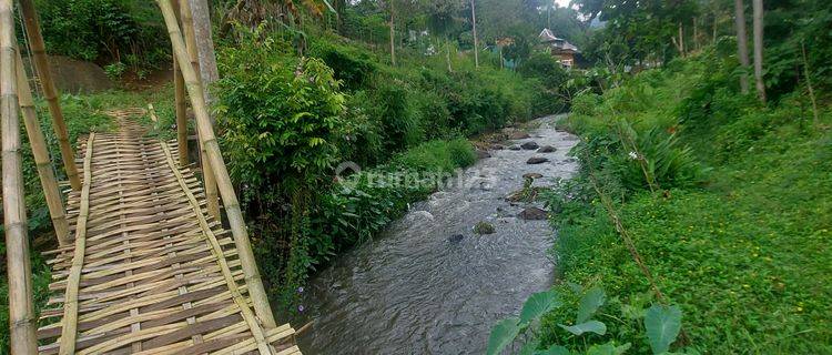 Tanah Di Gambung Ciwidey Shm Luas 1 Ha Cocok Untuk Villa Glamping 1