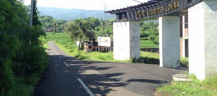 Rumah Impian Di Singaraja Buleleng Pantai Lovina Butuh Renovasi 1