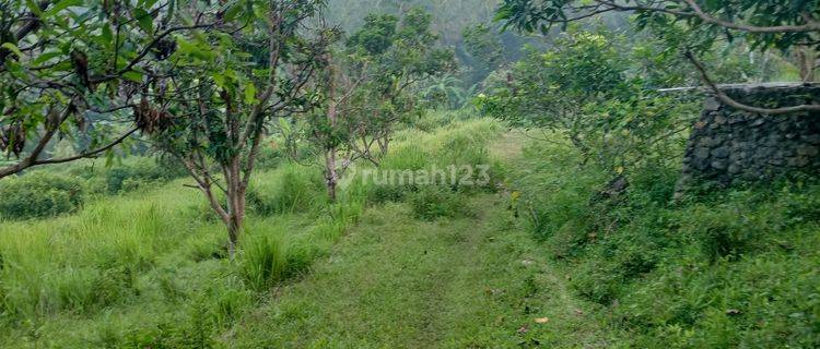 Tanah Murah Di Panggarangan Cocok Utk Peternakan Atau Pemancingan 1