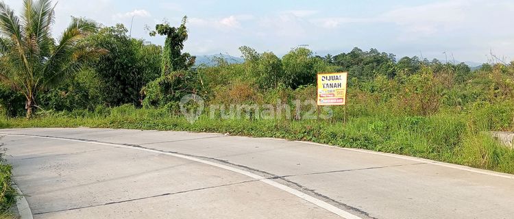 Tanah Di Panggarangan Pinggir Jln Provinsi Dkt Cemindo Bayah 1