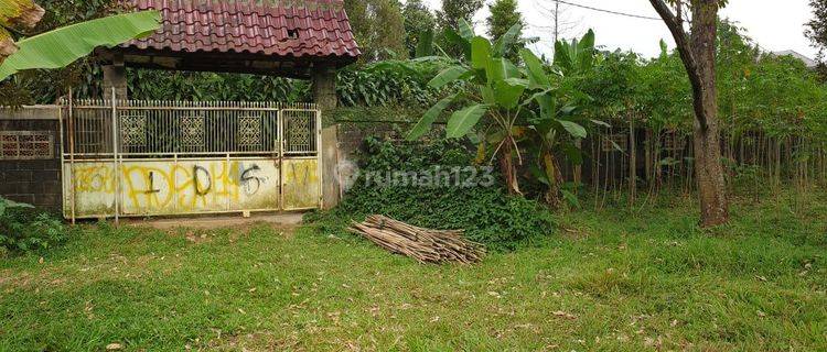 Tanah Murah Bogor Kota Cocok Untuk Perumahan  1