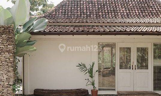 Tanah 32 m2 SHM Biak Barat, Biak Numfor 1