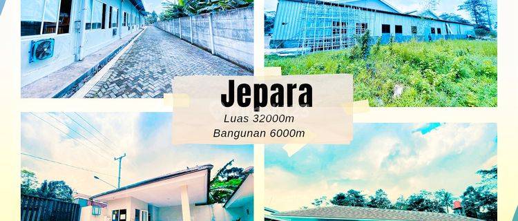 Pabrik Jepara Luas Bagus Siap pakau 1