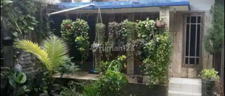 Rumah Induk + Kos Kosan 10 Pintu Luas Dan Murah Harga Di Bawah Njop Di Cijantung  Jakarta Timur  1