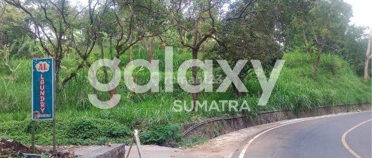 Tanah di Lereng Gunung Bromo ( Desa Sukapura ), Probolinggo SHM 7.000 m² 1