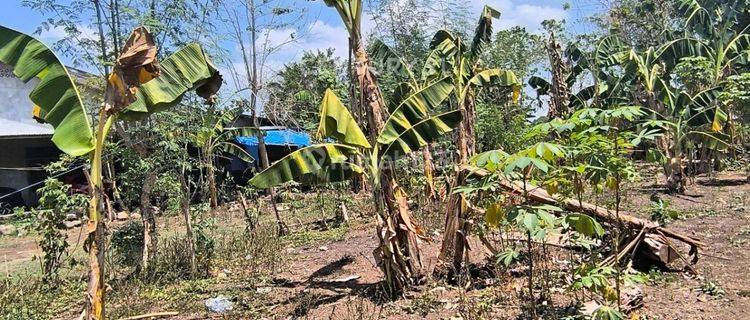 Tanah Strategis Di Area Pattalasang Gowa 1