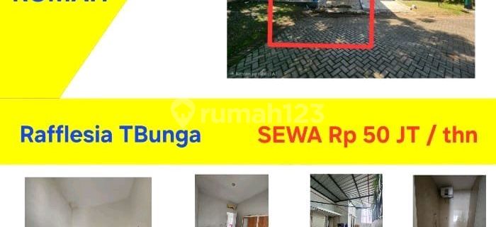 Rumah Sewa Rafflesia Lengkap Prabot Tanjung Bunga Makassar 1