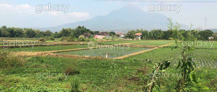 Tanah Strategis 873 M2 di Gempol Pasuruan Gmk02972 1