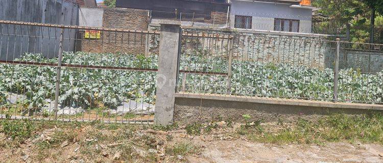 Kavling Setiabudi Regency 1